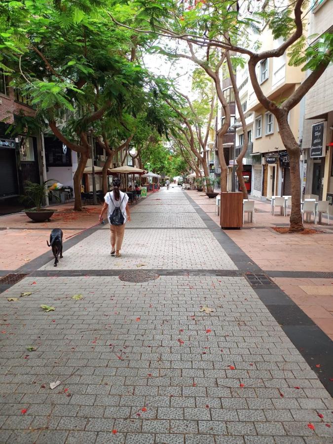 Center Santa Cruz, Alojamiento Centrico Con Gran Terraza, Cocina , Salon Y Banos, Todo Privado Kültér fotó