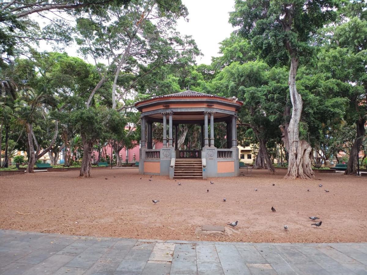 Center Santa Cruz, Alojamiento Centrico Con Gran Terraza, Cocina , Salon Y Banos, Todo Privado Kültér fotó