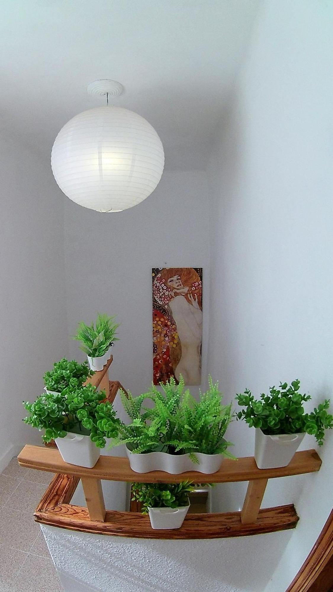 Center Santa Cruz, Alojamiento Centrico Con Gran Terraza, Cocina , Salon Y Banos, Todo Privado Kültér fotó